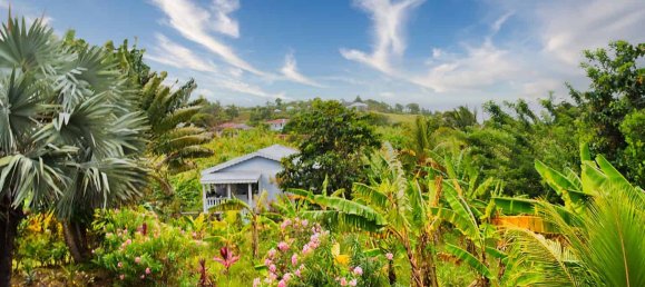 Земельный участок с 7 спальнями в Калибиши, Доминика № 27 17