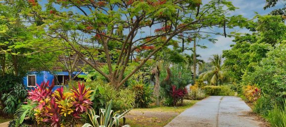 Земельный участок с 7 спальнями в Калибиши, Доминика № 27 13