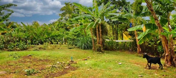 Земельный участок с 7 спальнями в Калибиши, Доминика № 27 16