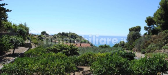 Villa T3 em Bordighera, Italy N.º 267223 11