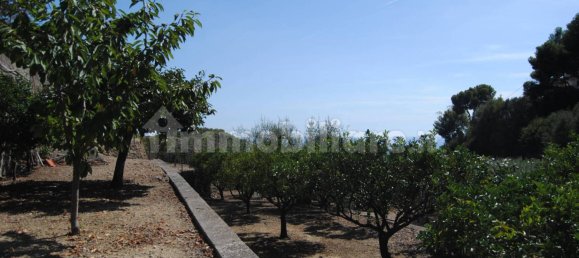 Villa T3 em Bordighera, Italy N.º 267223 12