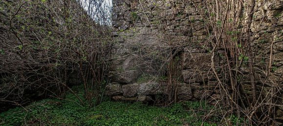 1 Schlafzimmer Haus in Sernancelhe, Portugal, Nr. 66623 31