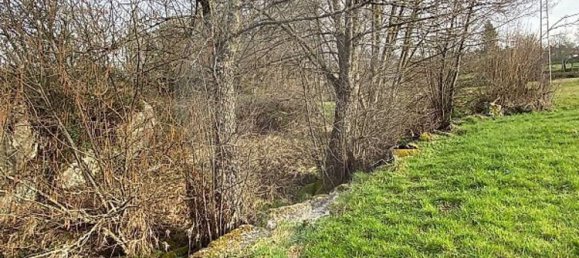 1 Schlafzimmer Haus in Sernancelhe, Portugal, Nr. 66623 32