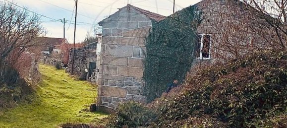 1 Schlafzimmer Haus in Sernancelhe, Portugal, Nr. 66623 7