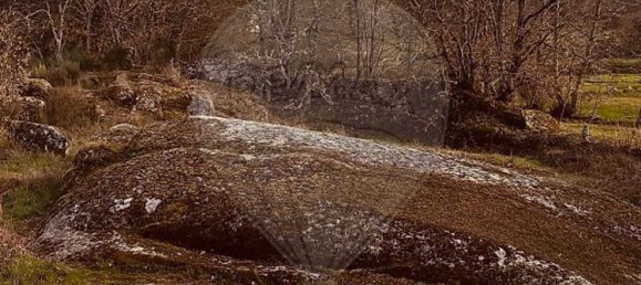 1 Schlafzimmer Haus in Sernancelhe, Portugal, Nr. 66623 30