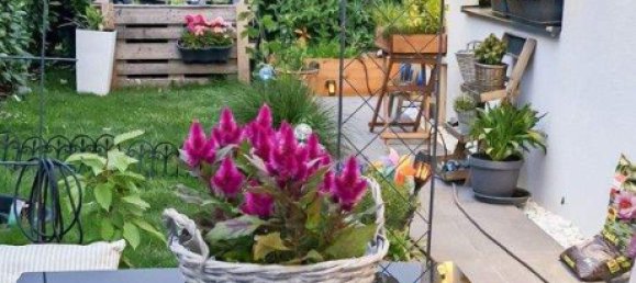 3-Zimmer Bungalow in Neufeld an der Leitha, Austria, Nr. 111214 12