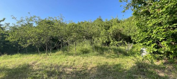 4 rooms House in Bardi, Italy No. 149930 5