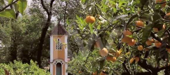 6 غرف نوم منزل في Leiria, Portugal رقم 97516 39