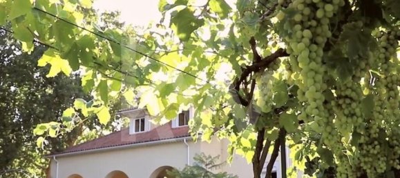 6 غرف نوم منزل في Leiria, Portugal رقم 97516 25