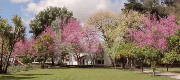 6 غرف نوم منزل في Leiria, Portugal رقم 97516 27