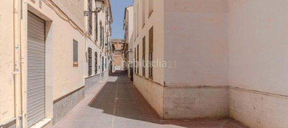 Коммерческая недвижимость 396м² в Санта-Фе, Испания № 166733 22