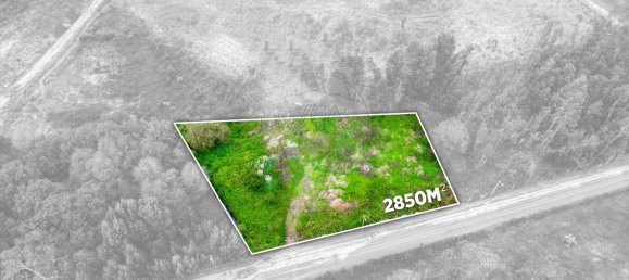 Grundstück in Rio Meao, Portugal 2804m², Nr. 92744 16