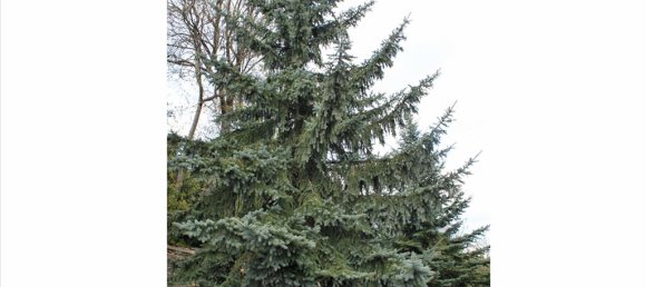 4 bedrooms Villa in Ioannina, Greece No. 5656 22