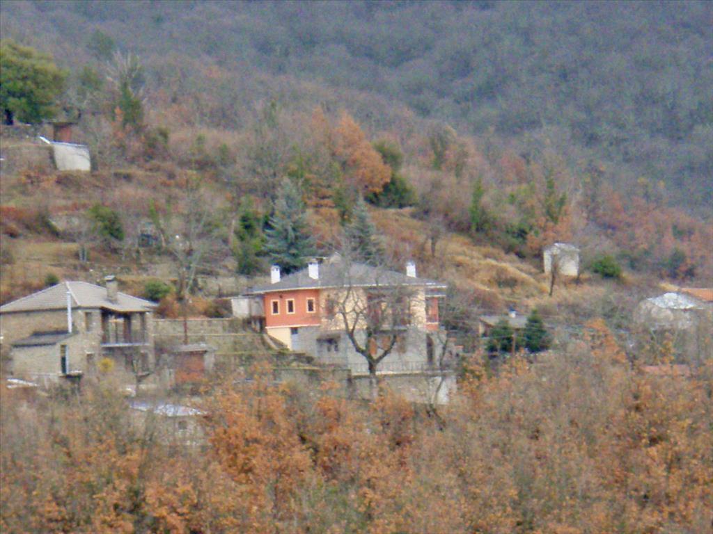 4 bedrooms Villa in Ioannina, Greece No. 5656