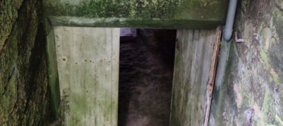 3 chambres Maison à Châtillon-sur-Saône, France No. 92776 8