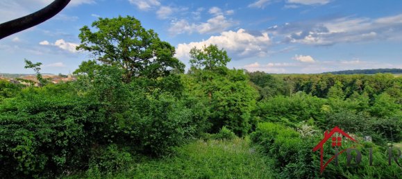 3 chambres Maison à Châtillon-sur-Saône, France No. 92776 7