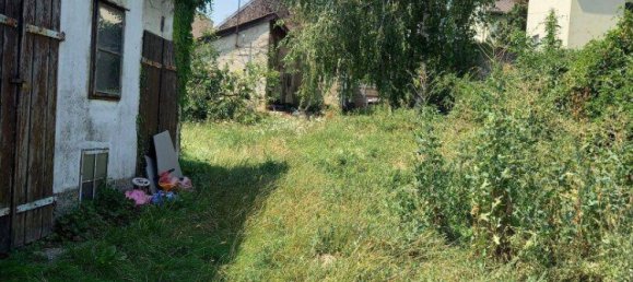 4 rooms House in Berg, Austria No. 54579 7