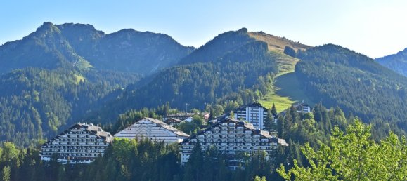 Studio in Vionnaz, Switzerland No. 184 17