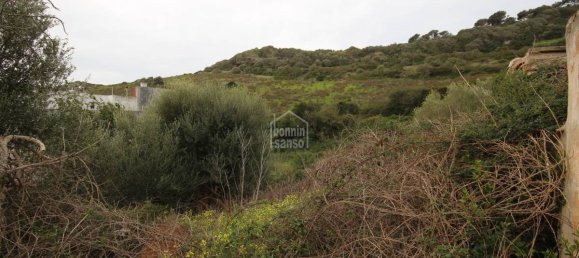 2936m² Land in Ferreries, Spain No. 5576 12