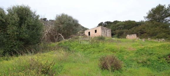 2936m² Land in Ferreries, Spain No. 5576 8