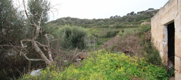 2936m² Land in Ferreries, Spain No. 5576 10
