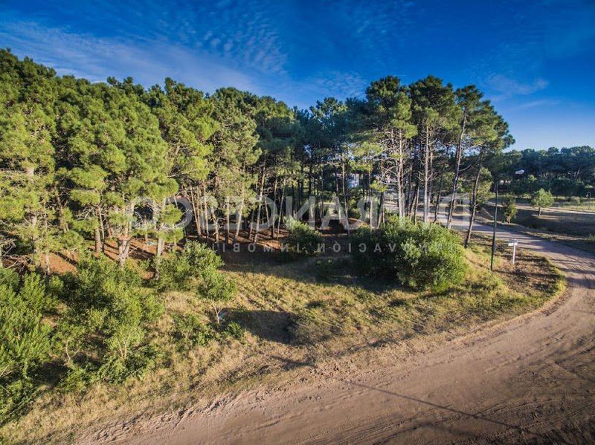  Land in Mar del Plata, Argentina No. 115782