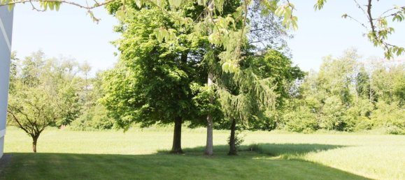 3غرفة شقة في Gurten, Austria رقم 231931 13