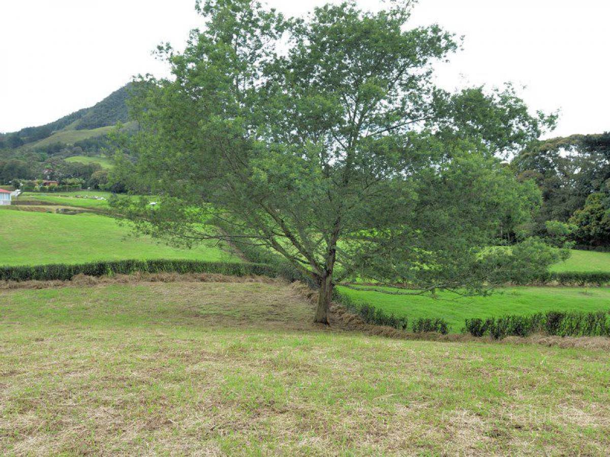 Terrain à Antioquia, Colombia No. 291