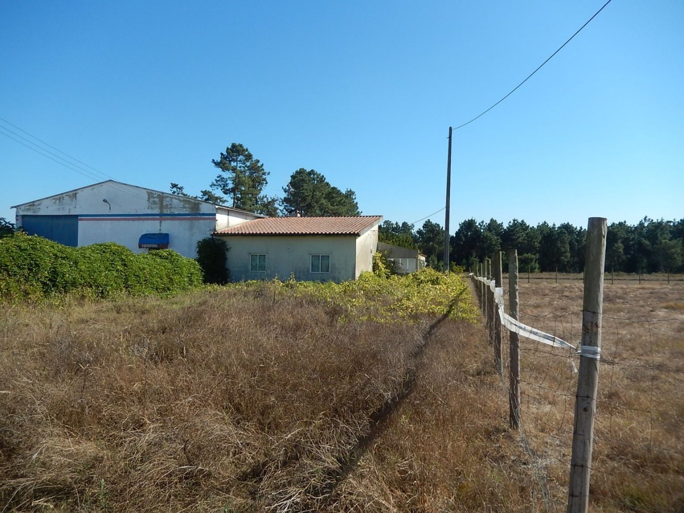 Grundstück in Vagos, Portugal, Nr. 251136