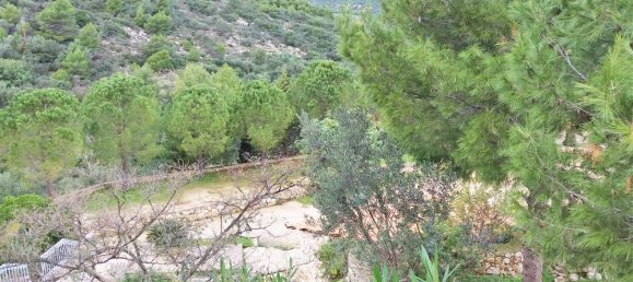  Commercial property in Zakynthos, Greece No. 647 15