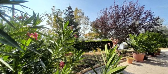 10 rooms Villa in Loreto Aprutino, Italy No. 72878 12