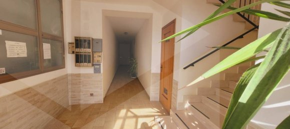 4-Zimmer Wohnung in Vieste, Italy, Nr. 18493 16