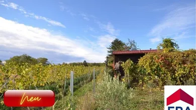 Studio in Vienna, Austria No. 32784