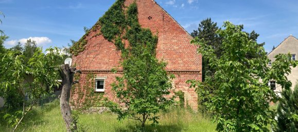 4 bedrooms House in Oberhavel, Germany No. 76209 5