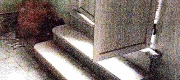 3 rooms Apartment in San Fili, Italy No. 306629 8