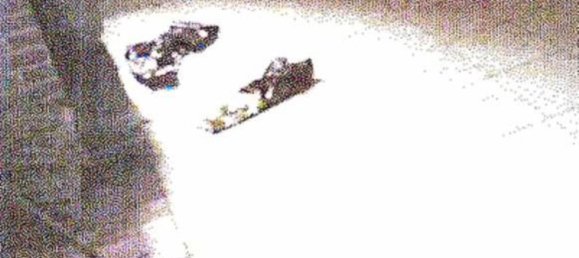 3 rooms Apartment in San Fili, Italy No. 306629 4