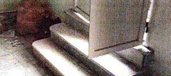 3 rooms Apartment in San Fili, Italy No. 306629 19