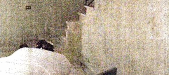 3 rooms Apartment in San Fili, Italy No. 306629 5