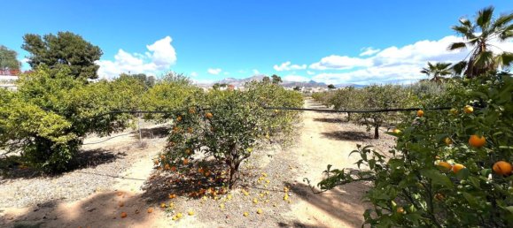 3 غرف نوم منزل في Aspe, Spain رقم 161084 21