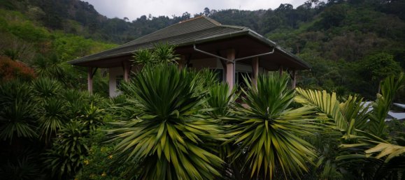 7 chambres Villa à Kathu, Thailand No. 74794 25