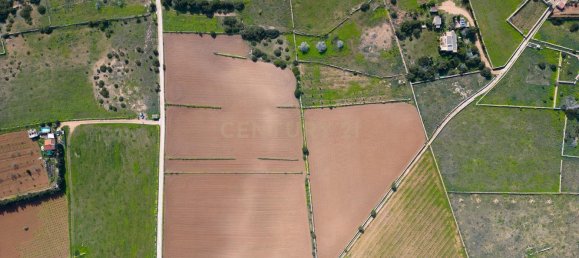 Grundstück in Formentera, Spain 15000m², Nr. 134664 14