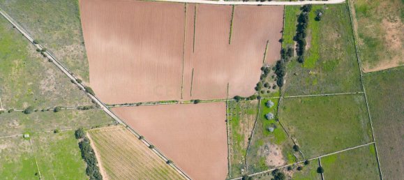 Grundstück in Formentera, Spain 15000m², Nr. 134664 8