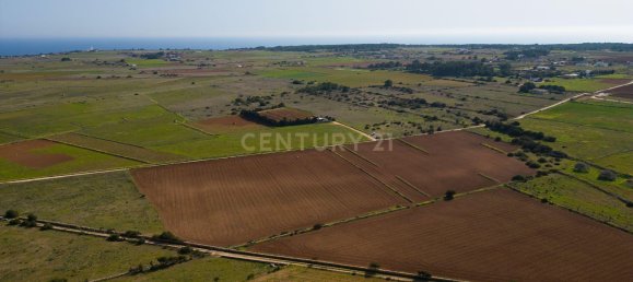 Grundstück in Formentera, Spain 15000m², Nr. 134664 10