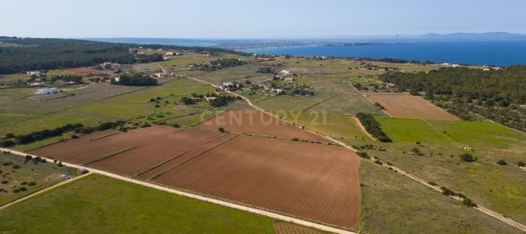 Grundstück in Formentera, Spain 15000m², Nr. 134664 7