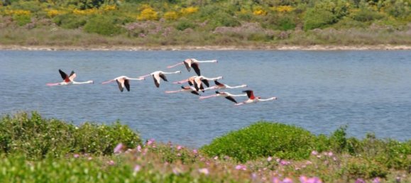 Дом с 6 комнатами в Мандурия, Италия № 19207 32