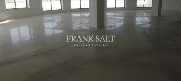 431m² Office in Balzan, Malta No. 6560 5
