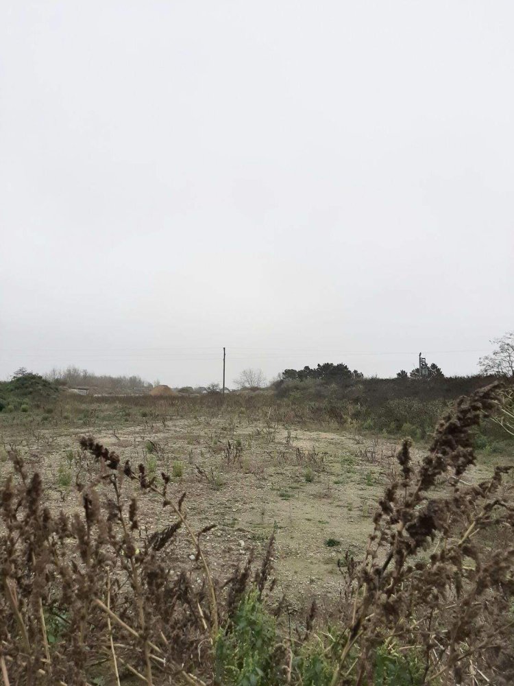  Land in Hagenbrunn, Austria No. 247540