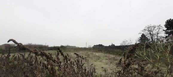  Land in Hagenbrunn, Austria No. 247540 2