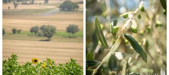 4 bedrooms House in Cortona, Italy No. 53533 39