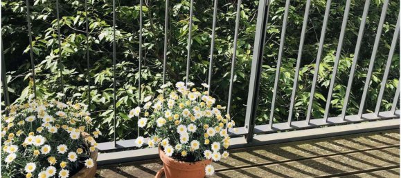 3 Schlafzimmer Wohnung in Mitte, Germany, Nr. 262846 17